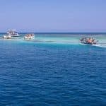 From Puerto Plata: Cayo Arena Private Catamaran Trip & Lunch - Photo 3 (Gallery view)