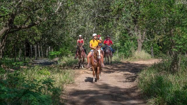 Horseback riding half day: Horsebackriding+ lunch+ hotspring
