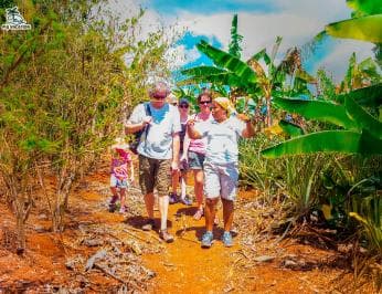 Punta Cana: Samana safari between waterfalls and beaches