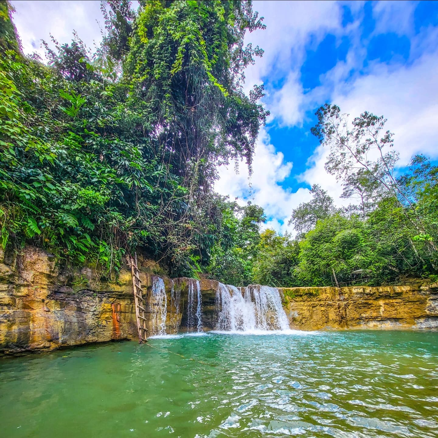 Punta Cana Los Haitises Park, Yanigua Waterfall, & Montaña Redonda Tour - Photo 2 (Gallery view)