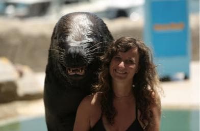 Ocean World Dolphin Swim & Sea Lion Combo from Puerto Plata - Photo 3 (Gallery view)