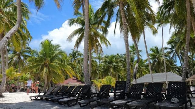 Boca Chica: Saona Island Full-Day Tour with Catamaran Ride