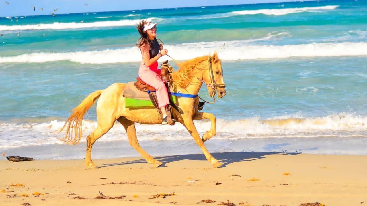 Macao Beach & Forest Horseback Adventure