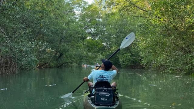 Nosara: Rio Montana Mangrove SUP or Kayak Tour