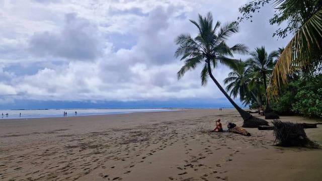 Uvita: Marino Ballena National Park Whale-Watching Tour