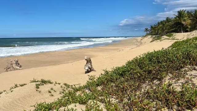 San Juan: Sunset Adventure to Isabela’s Hidden Beaches