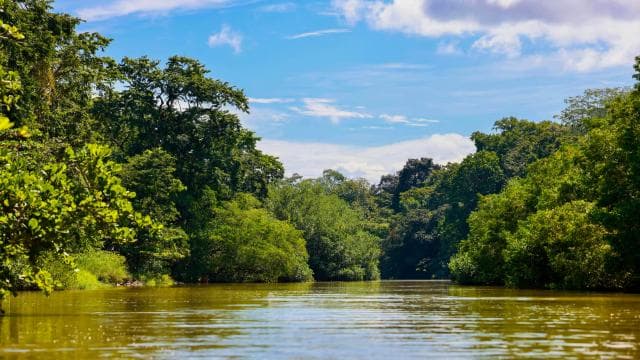 Tortuguero boat tour, Maratopia tropical garden & beach, incl. fruit