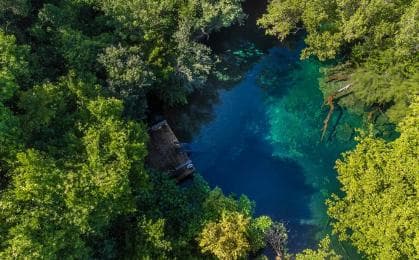 Punta Cana Cenote: Schwimmende Klangheilung und Schwimmen - Photo 2 (Gallery view)