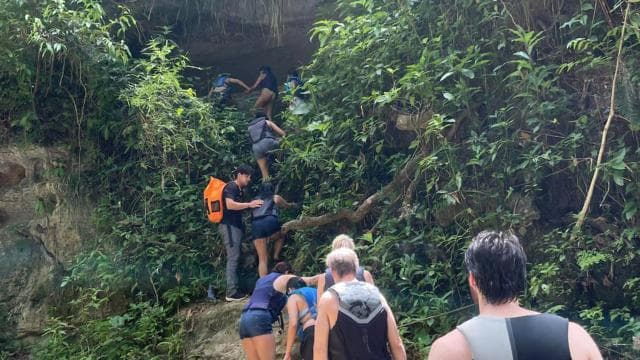 Luquillo: Rainforest Adventure with Food & Photos