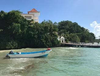 Punta Cana: Whale Watching and Bacardi Island Day Trip - Photo 3 (Gallery view)