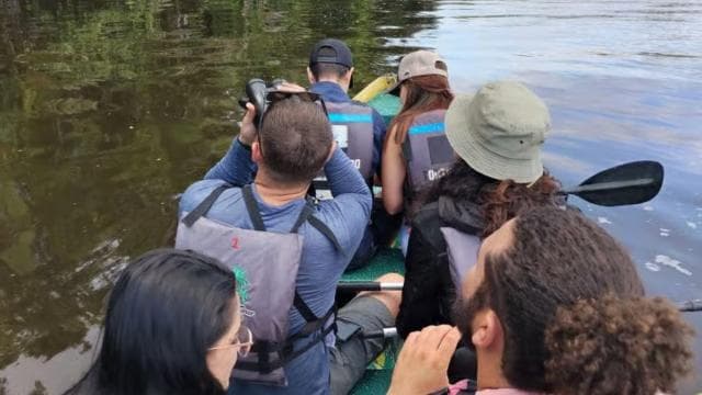 Nationalpark Tortuguero: Kanutour mit Elektromotor - Photo 4 (Gallery view)