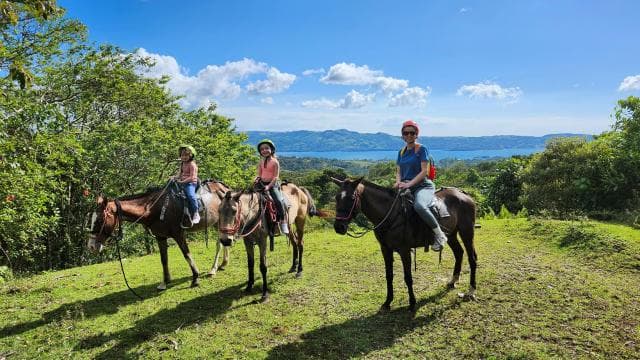 CRParaiso: Horseback Riding Adventure