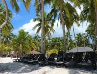 Excursión privada de un día a la isla Saona desde Juan Dolio - Photo 2 (Gallery view)