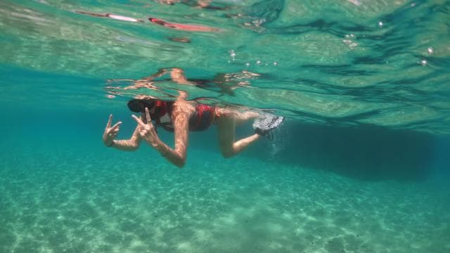 VIP Snorkeling with Turtles Adventure