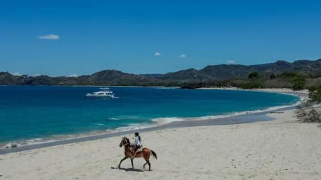 Playa Conchal/Brasilito: ATV & HorseBack Riding Combo Tour