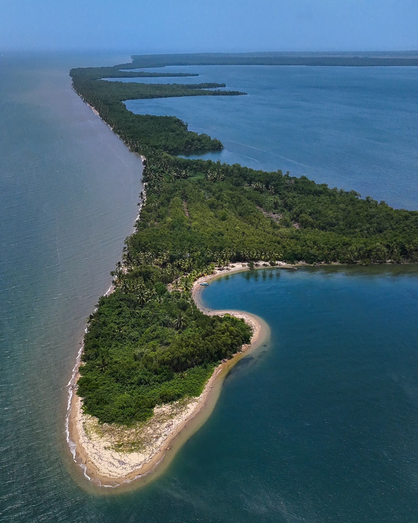 Los Haitises Boat Ride + Caño Hondo Natural Pools - Photo 3 (Gallery view)