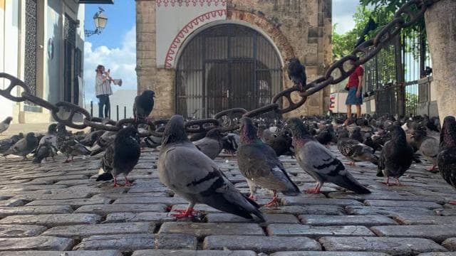 San Juan: Old San Juan Walking Tour with a Certified Guide