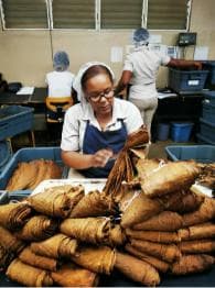 From Puerto Plata Priv: Cocoa, Coffee, Cigars & Local Market