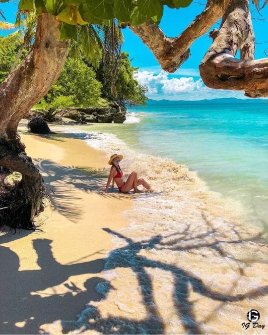 Los Haitises National Park & Cayo Levantado Tour from Samaná Port – Adults $60 | Kids $45