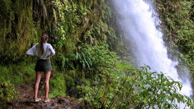 La Paz Waterfall Gardens Day Pass Ticket