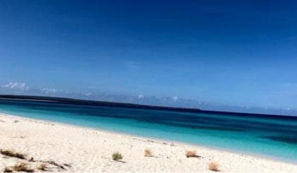 Bahía de las águilas glamping experience from Santo Domingo