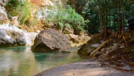 Samana Day Tour: Cayo Levantado & Rincon Bay Paradise