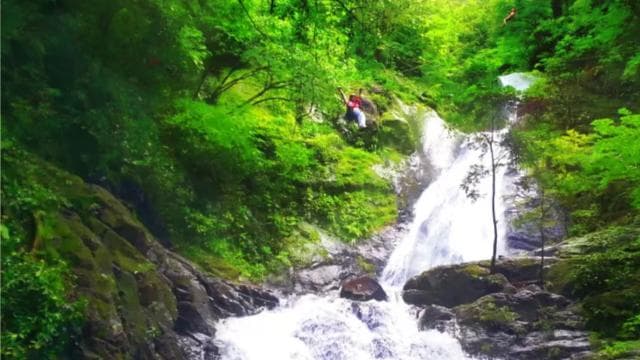 From San José: 11 Waterfalls Zipline Adventure