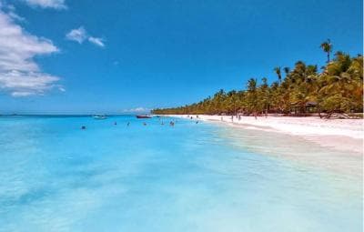 Saona Island Day Trip + Lobsters Included - Photo 5 (Gallery view)