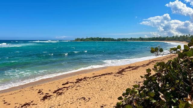 From San Juan: Pinones Bar Hopping Food Tour & Caguas River
