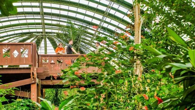 Monteverde: Zip Line, Bridges, and Butterfly Garden Tour