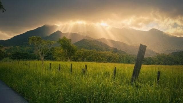 Private El Yunque Adventure - Pickup + Waterslide and Swing