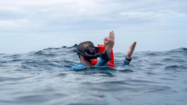 Whales Watching Adventure in Uvita with Expert Guides