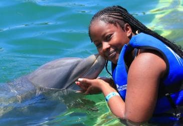 Punta Cana Dolphin Experience: 50 Minutes of Water Fun