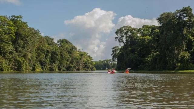 Guided Kayak Tour in Tortuguero National Park ***EXCITING**