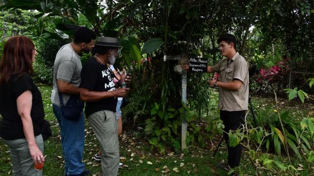 La Fortuna: Arenal Bee Garden Tour