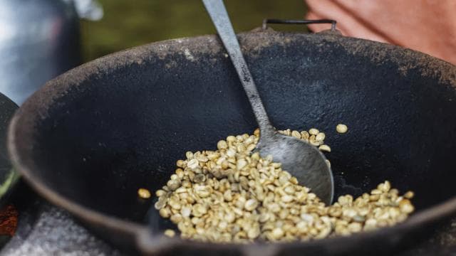 La Fortuna: Local Coffee Tour Experience