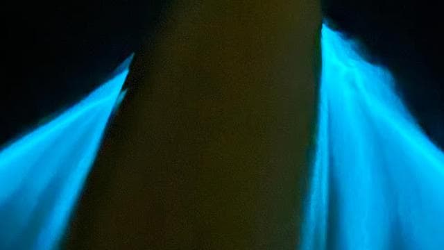La Parguera: Bioluminescent Bay Chiliboats Waterbike Tour