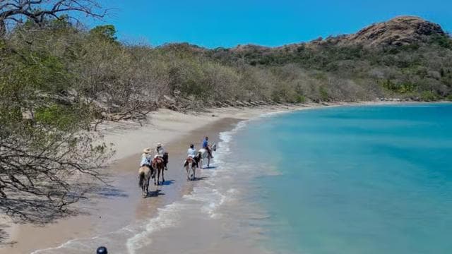 Horseback Riding & Massages Beach Tour - Dominican Republic