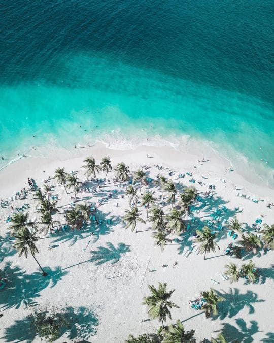 Los Haitises National Park & Cayo Levantado Tour from Samaná Port – Adults $60 | Kids $45
