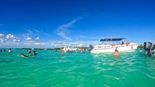 Paradisiacal Getaway: Soana Island from Punta Cana