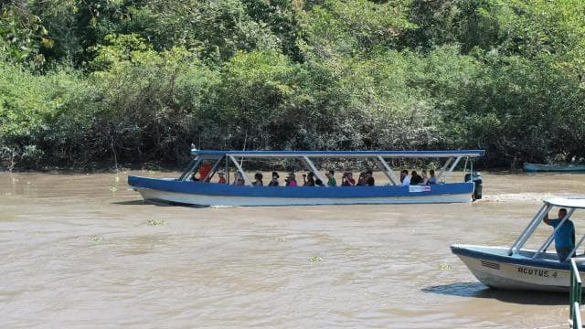Palo Verde National Park: Wildlife Boat Tour