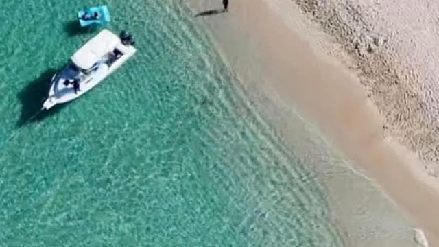 Fajardo: Privater halbtägiger Bootscharter nach Icacos oder Palomino - Photo 3 (Gallery view)