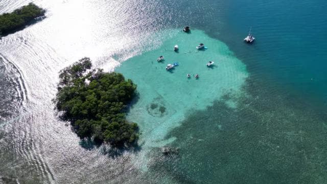 La Parguera: Half day Private Boat tour 4 hours - Photo 3 (Gallery view)