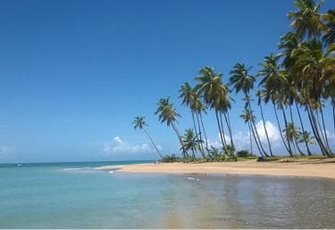 Excursion Round Mountain and Virgin Beach from Punta Cana