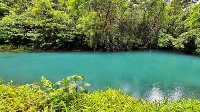 Rio Celeste: Regenwald, Faultiere und Wildtiere. - Photo 2 (Gallery view)