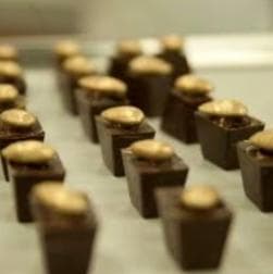 Private: Cacao Plantation Tour with Lunch & Tasting
