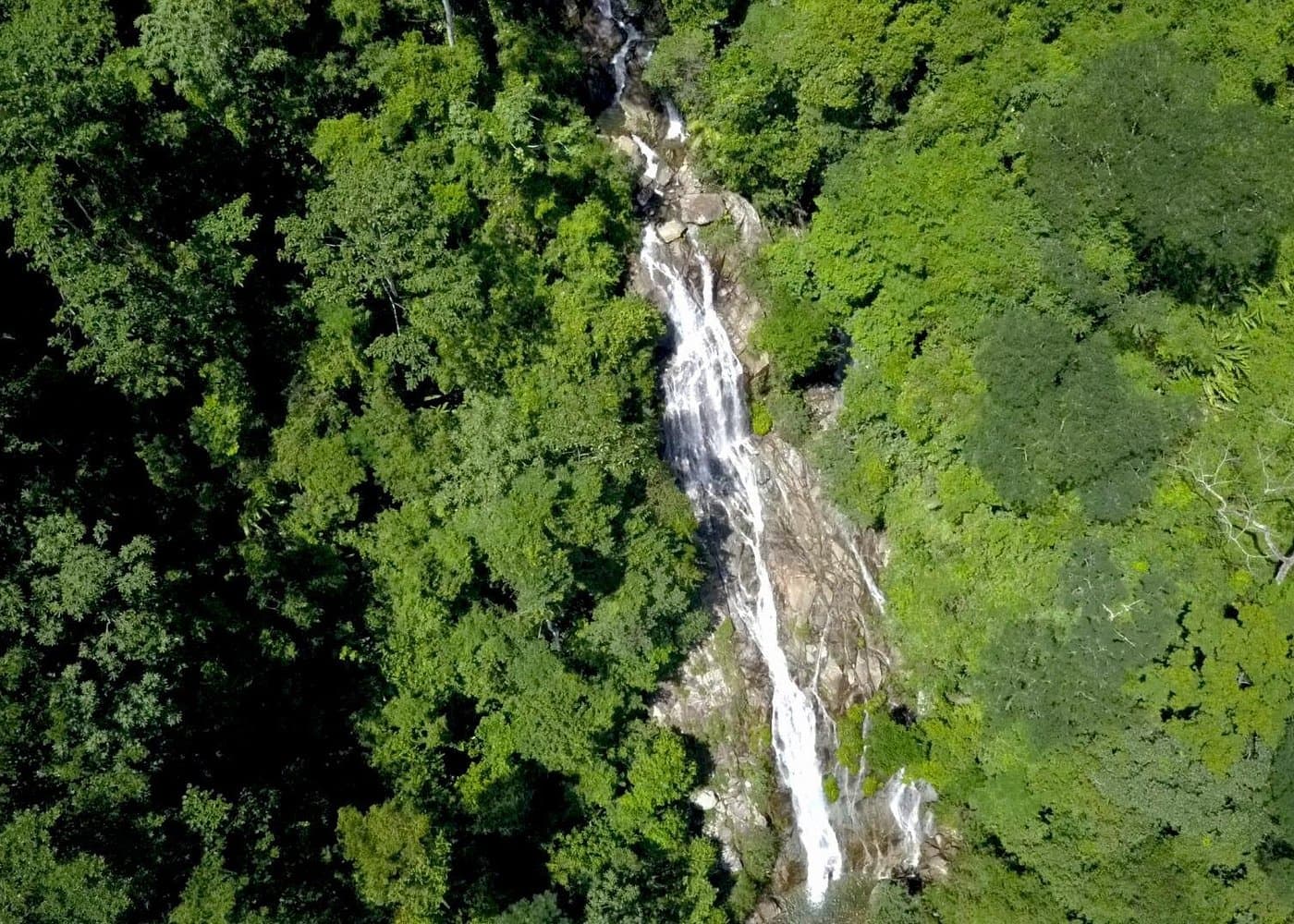 La Cuba WATERFALL RAPPELLING and La Planta GIANT NATURAL POOL from MEDELLIN