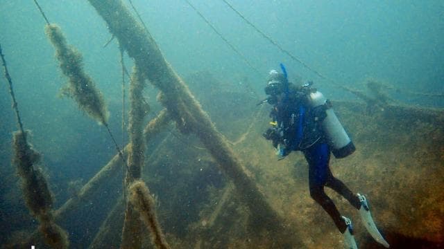 Golfito, Costa Rica: Amazing Day Wreck &/or Reef Dive Trips - Photo 2 (Gallery view)