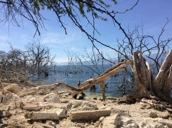 Barahona: Lake Enriquillo Discovery Tour