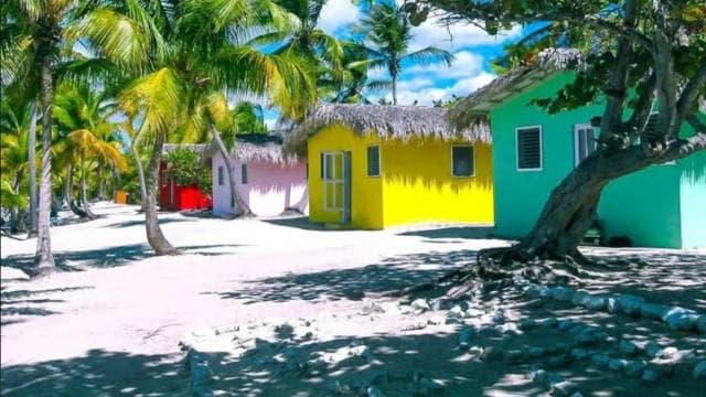 La Romana: Catalina Island Day Trip with Lunch & Drinks
